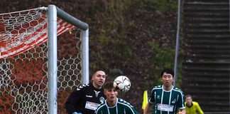 vfb ii tsb flensburg