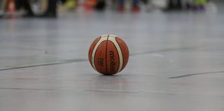 Restart nach kleiner Pause – Knappe Kiste für Lynx