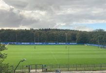 HSV: Fahrplan da, neuer Trainer noch nicht