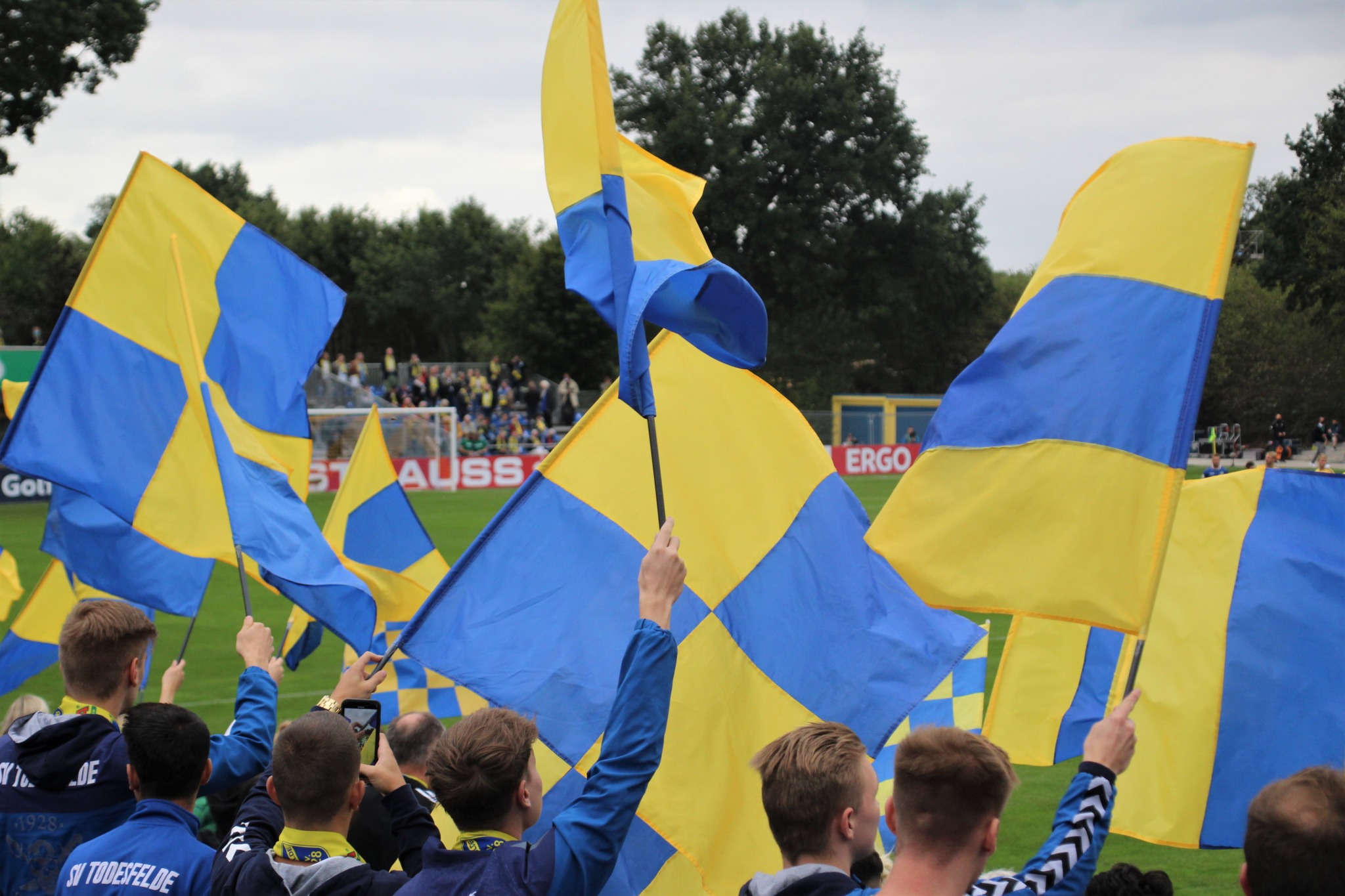 SV Todesfelde, farbenfroh, Foto sr