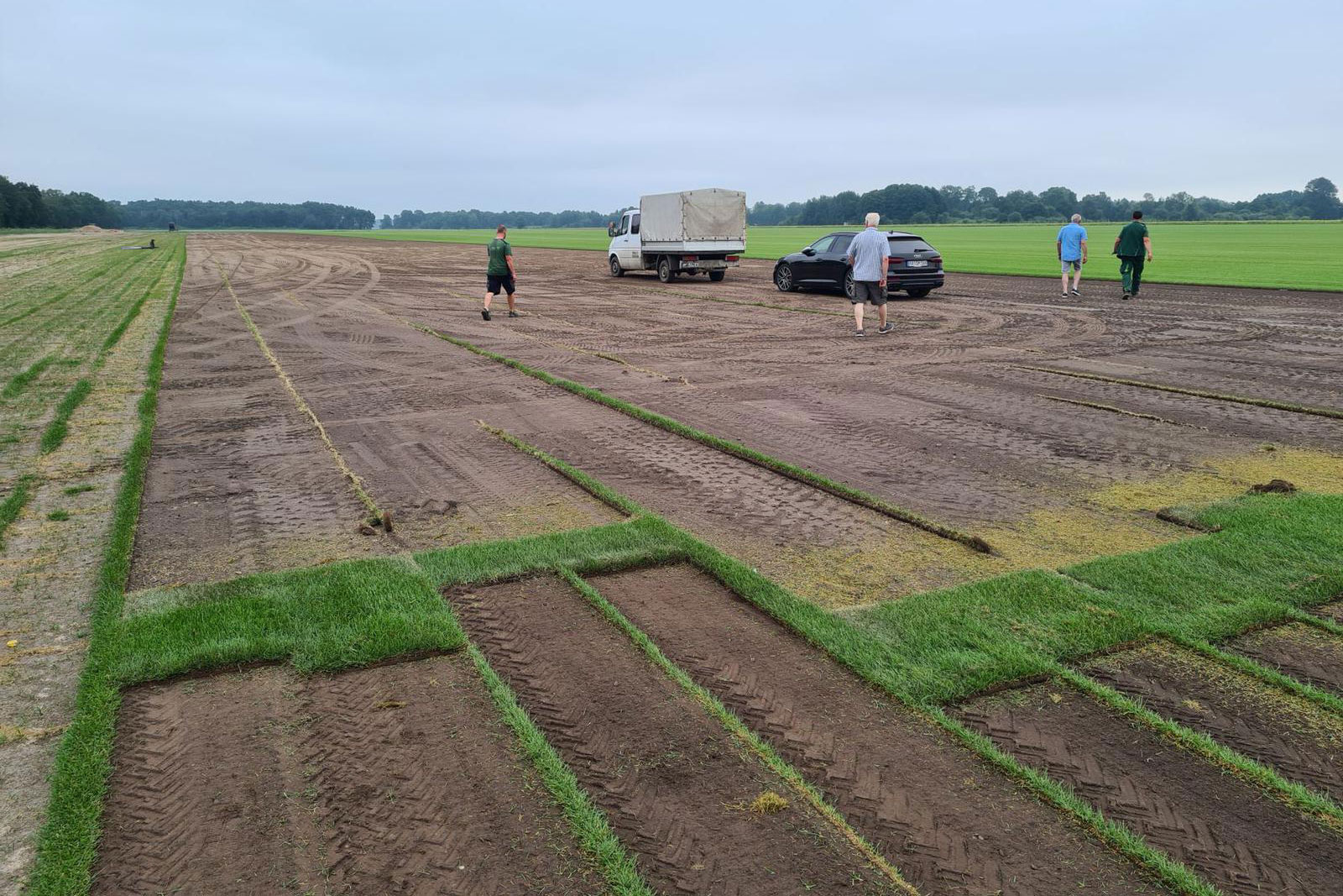 Neuer Lohmühlenrasen wächst noch einen Tag und hat einen meisterlichen