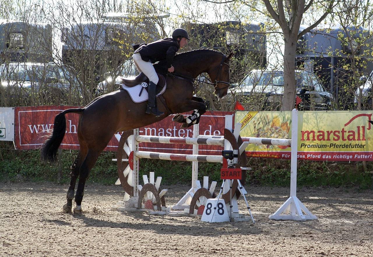 Reiterflohmarkt in Böbser Reithalle › HLSPORTS