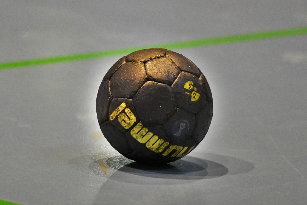 Welche Handball-Liga erweckt das größte Interesse für Dich bei HL-SPORTS?