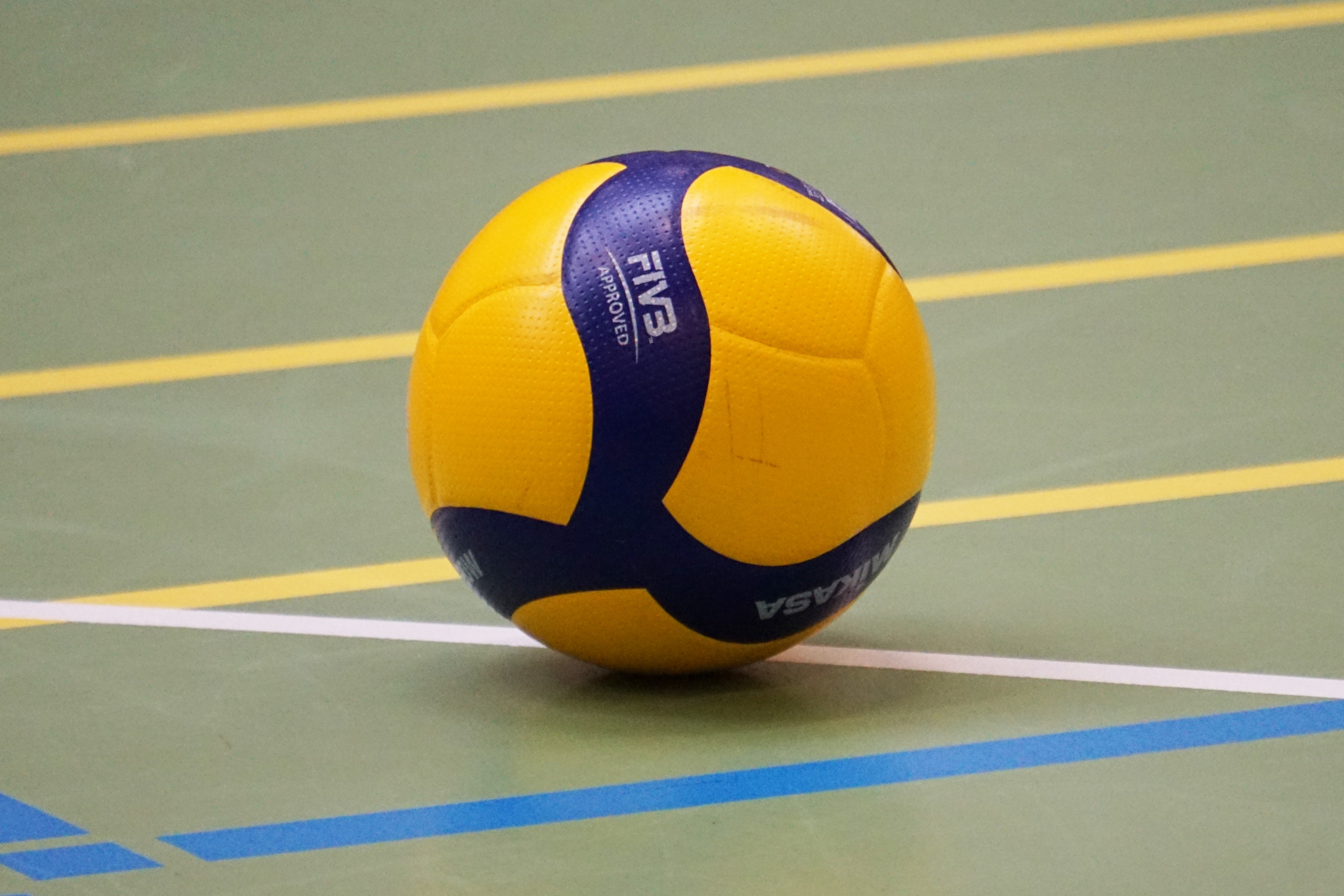 Atsv stockelsdorf volleyball jugend sucht coach hl sports