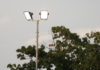 flutlicht foto lobeca homburg @ Home