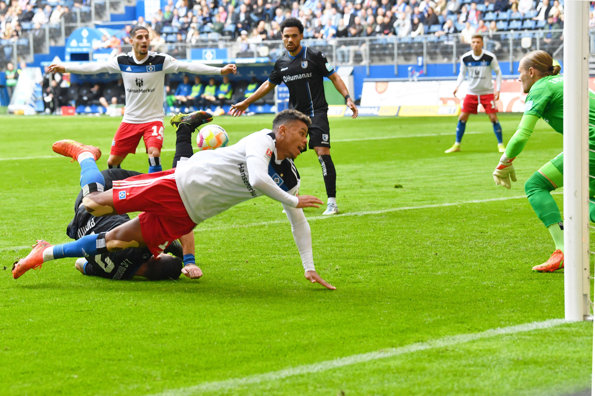 Das Ist Wahnsinn Hsv Verstärkt Sich Mit Omari Die Krassen Zahlen - ftgsef6