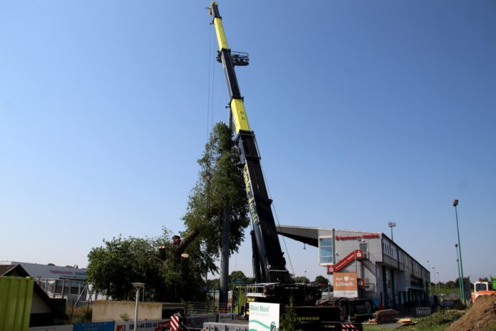 VfB in der Pappelkurve aktiv - Foto sr