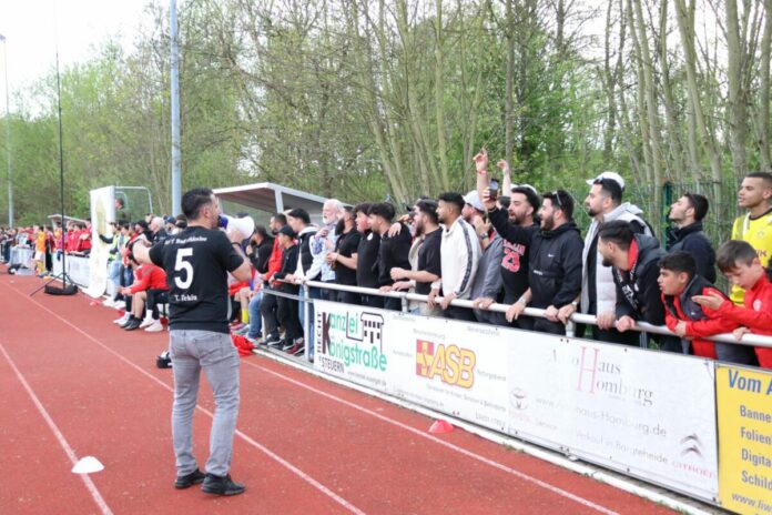 Fans
