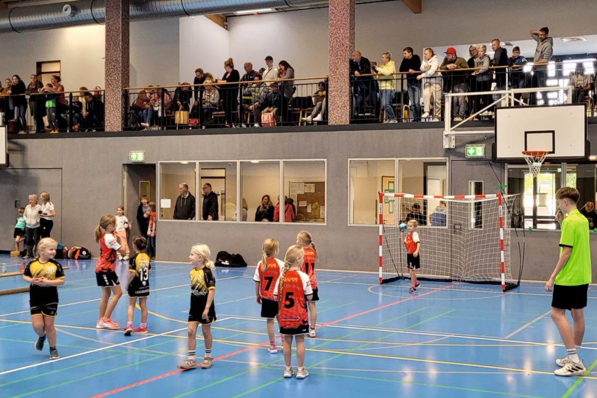 Handballspielfest für Jung und Alt bei der HSG Tills Löwen › HLSPORTS