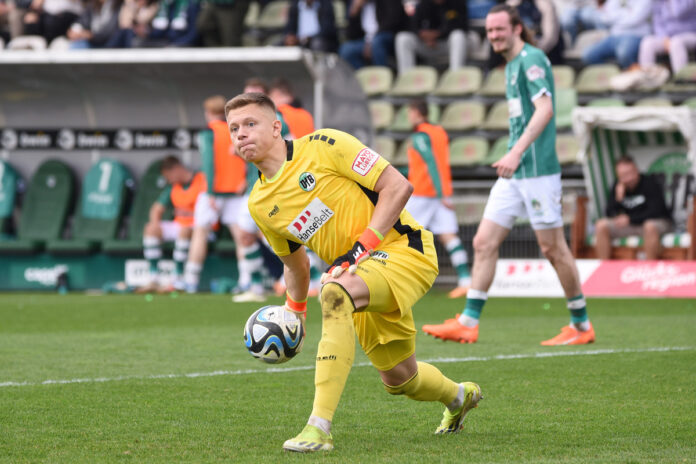 vfb_verl_stein