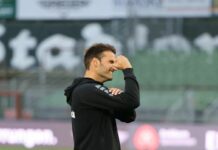 Die Lohmühle ruft! VfB Lübeck empfängt SVM – Kompaktheit, Basics und Herzensprojekt im Fokus