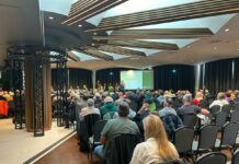 VfB Lübeck: Jahreshauptversammlung rückt näher – viele Punkte auf der Tagesordnung