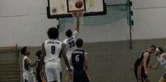 Tuskers und Lynx wieder in der Spur