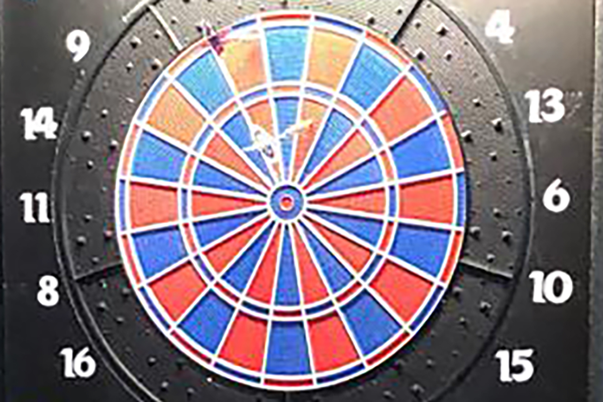 Gesichter des Turniers Die größten Stars bei der DartsWM 2025! › HLSPORTS