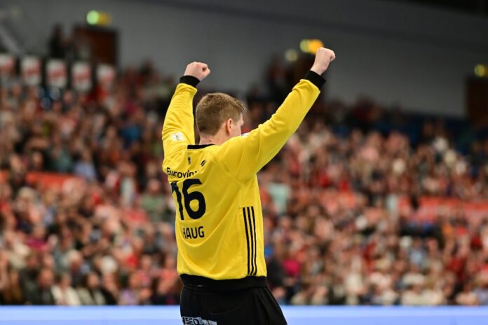 HSVH-Torhüter Robin Haug
