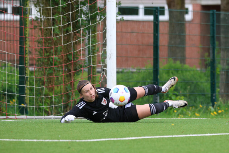 Aufsteiger sichert Rang 2