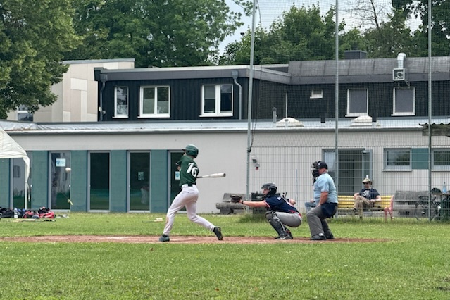 Baseball Lizards