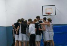 Lübeck Tuskers kassieren nächste Auswärtsniederlage – Lynx underperformen