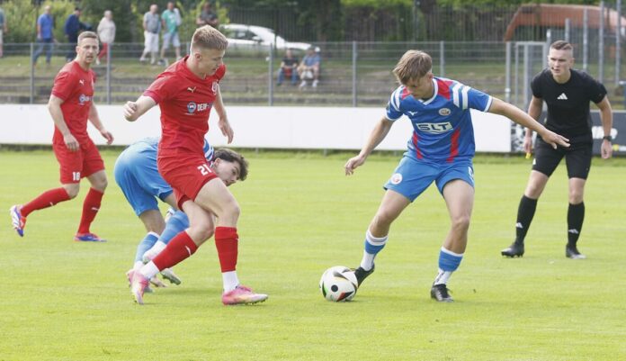 Hansa 2.