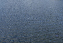 Rudern gegen Krebs – 13. Benefiz-Regatta steht an