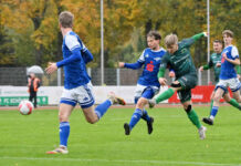 Richtungsweisend an die Ostsee