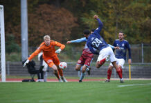 Phönix Lübeck: Defensiv stark, offensiv zu harmlos