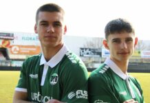 Gute Entwicklung: Sponsoren bleiben dem VfB Lübeck treu – und erweitern Engagement