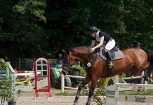 Lübecker Reitertage in diesem Jahr früher und wieder mit freiem Eintritt. (Foto: Kurt-S. Becker)