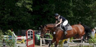 Lübecker Reitertage in diesem Jahr früher und wieder mit freiem Eintritt. (Foto: Kurt-S. Becker)