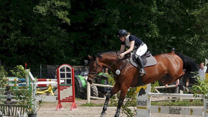 Lübecker Reitertage in diesem Jahr früher und wieder mit freiem Eintritt. (Foto: Kurt-S. Becker)