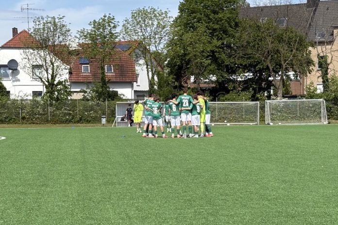 VfB U15