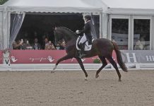 Sechster Derbysieg für Isabell Werth