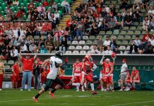 Lübeck Cougars feiern großen Sieg vor großer Kulisse
