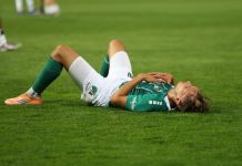 VfB Lübeck zwischen Aufarbeitung, Regeneration, Vorbereitung – und Drochtersen/Assel