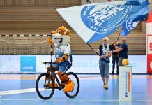 Pokalkracher für den VfL: Flensburg kommt in die Hansehölle